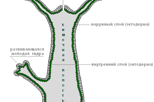 Как войти на сайт кракен