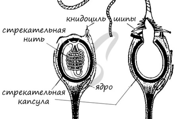 Как войти на сайт кракен