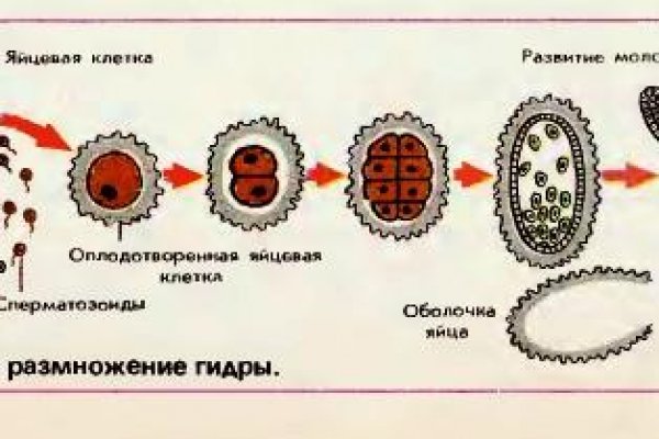 Vk8 at кракен